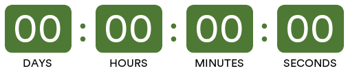 mailtimers.com