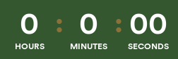 mailtimers.com
